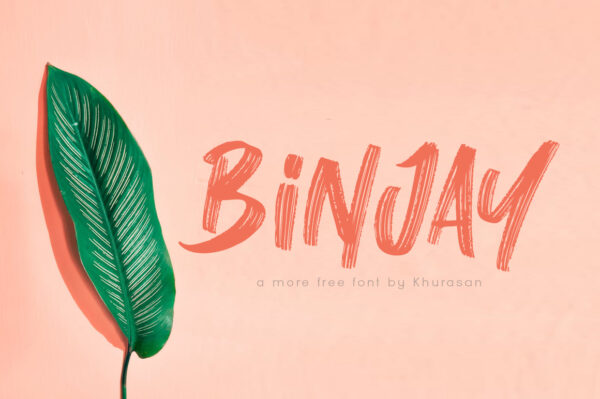 Logo of the Binjay font